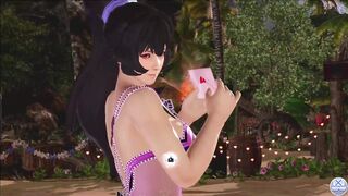 Dead or Alive Xtreme Venus Vacation Ayane Valentine's Day Pose Cards Fanservice Appreciation