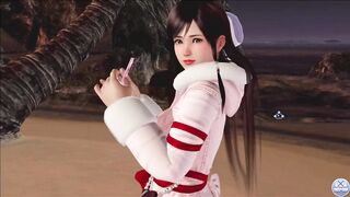 Dead or Alive Xtreme Venus Vacation Kokoro Valentine's Day Pose Cards Fanservice Appreciation