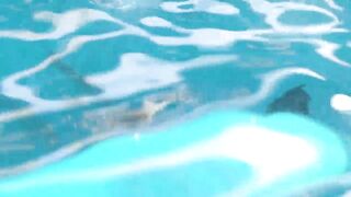 3D animated futa sex in pool, where lustful girl sucking dickgirl's cock and fucking