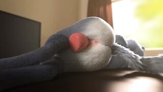 Furry Video P61