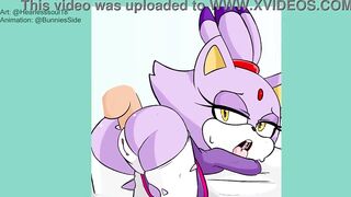 Blaze the Cat - Anal Sex POV [Sonic Porn]