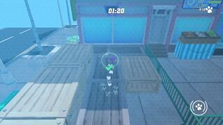 it is a cool game of dog