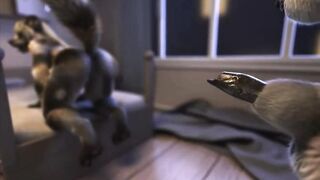 Furry Video P113