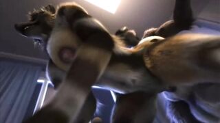 Furry Video P113