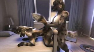 Furry Video P113