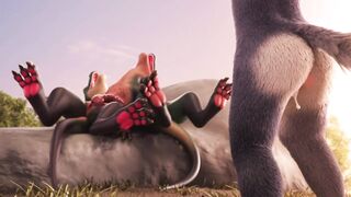 Furry Video P126