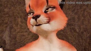 Furry Animation, Ride Him Hard