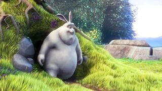bunny test 2