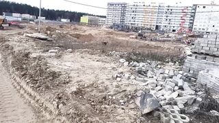 Я хочу собака
