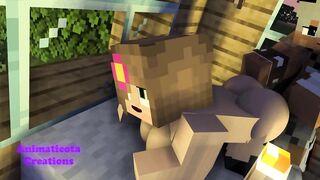 Jenny's Visit Minecraft Sex Mod