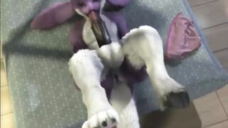Furry Video P163