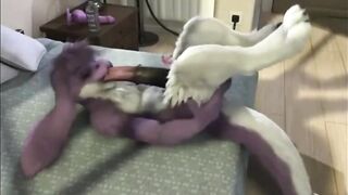 Furry Video P163