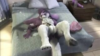 Furry Video P163
