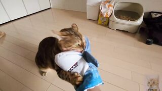 Pussycat playing in costume are the ultimate and perfect idols. OSHI NO KO HENTAI