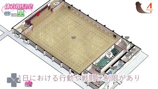 【レビュー】「sexbedDOLLs」を虎雄的にレビューしました