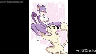 rattata raticate