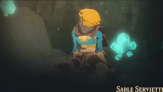Sable Serviette - Princess Zelda
