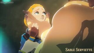 Sable Serviette - Princess Zelda