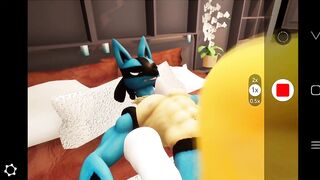 lucario and renamon ship