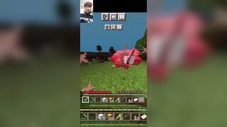 minecraft ep6