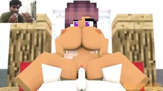 Minecraft Porn Animation Compilation Scenes