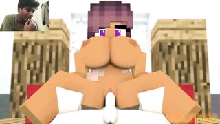 Minecraft Porn Animation Compilation Scenes
