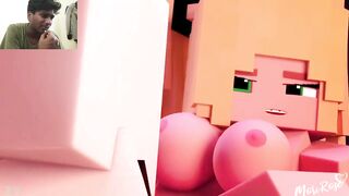 Minecraft Porn Animation Compilation Scenes