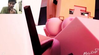 Minecraft Porn Animation Compilation Scenes
