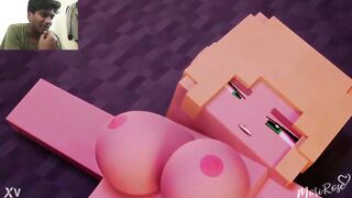 Minecraft Porn Animation Compilation Scenes