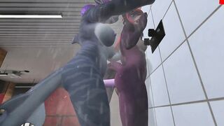Heat anthro Futa furry dragon and sexy furry fox