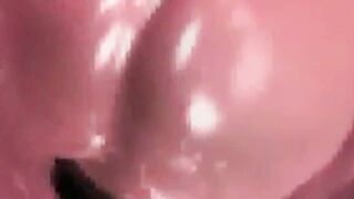 VAGINA INSIDE 3D PERSPECTIVE