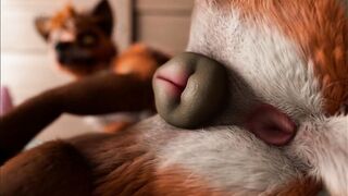 Fox's playing pussy cat in kennel by h0rs3