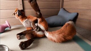 Fox's playing pussy cat in kennel by h0rs3