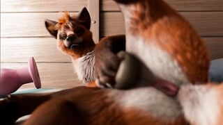 Fox's playing pussy cat in kennel by h0rs3