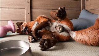Fox's playing pussy cat in kennel by h0rs3