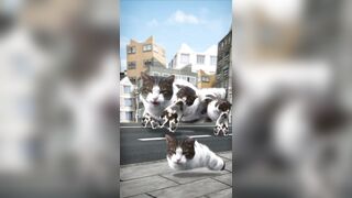 What's going on here? Funny Videos