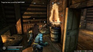 Kahjiit gets caught and "persuades" the guards