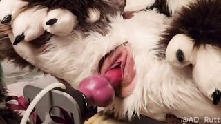 Furry girl takes full fursuit fuck machine pounding creampie Only Fans preview