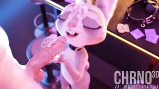 MAI TAI! Judy Hopps Furry HMV