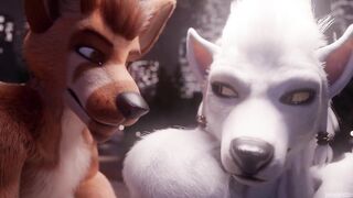 Furry Sex in the Park