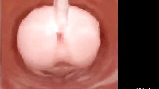 MMD Ilustrious Tentation Sexo 17.11.2024