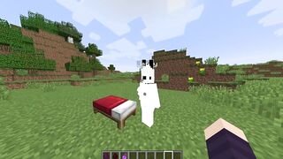 Emmy Is Hot Minecraft jenny xhatihentai gameplay