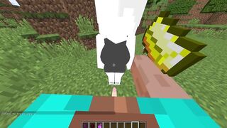 Emmy Is Hot Minecraft jenny xhatihentai gameplay