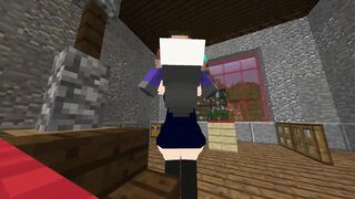Robin Hentai All animation minecraft jenny xhatihentai gameplay
