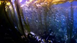 Расслабляющие видео после дрочки
