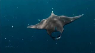 Расслабляющие видео после дрочки