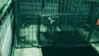 REverse teaser
